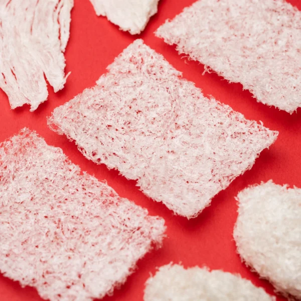 Ready-to-Cook Bird’s Nest (100g)